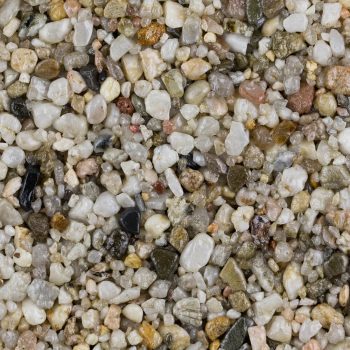 Oyster Pearl